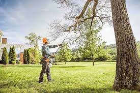 Reliable Florham Park, NJ  Tree Services Solutions